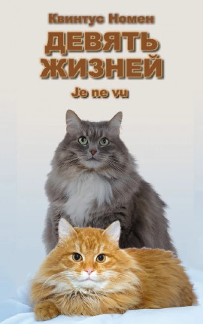 Девять жизней Je ne vu