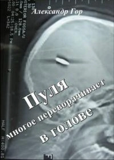 Пуля многое переворачивает в голове