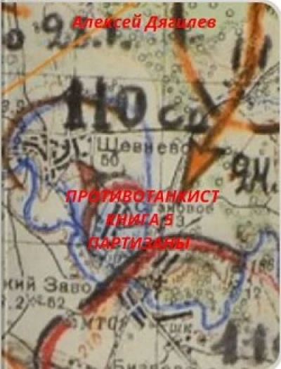 Партизаны