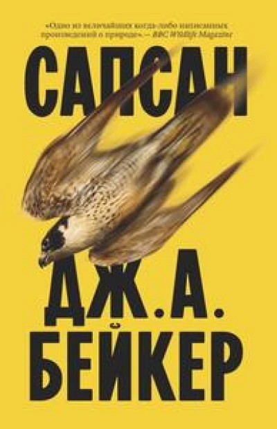 Сапсан