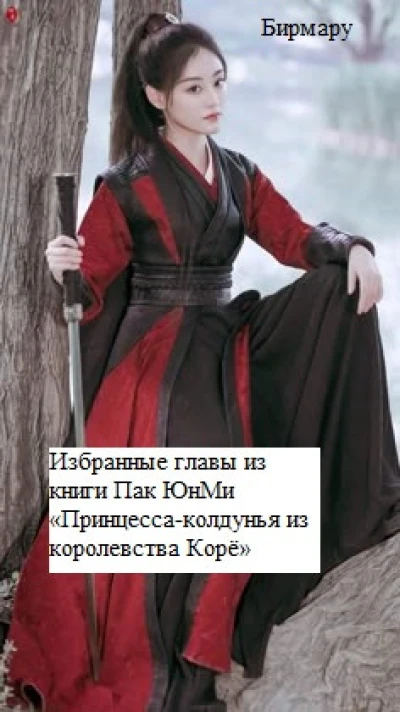 Избранные главы из книги Пак ЮнМи «Принцесса-колдунья из королевства Корё»